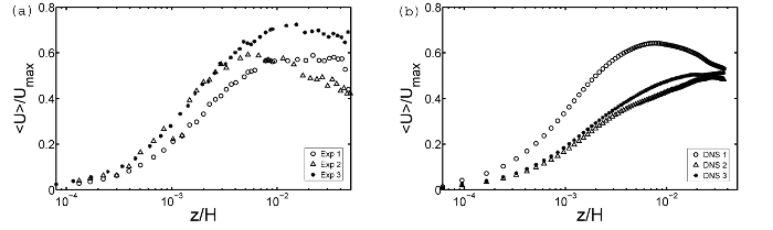 Measured and DNS horizontal velocity profiles