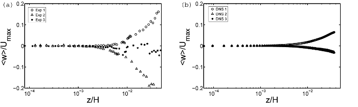 Measured and DNS wall-normal velocity profiles