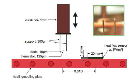 Temperature measurement set-up